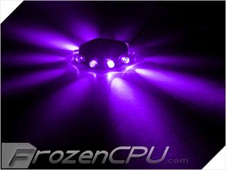FrozenCPU RingPuk 10 LED Lighting Module - UV - Digital Outpost LLC